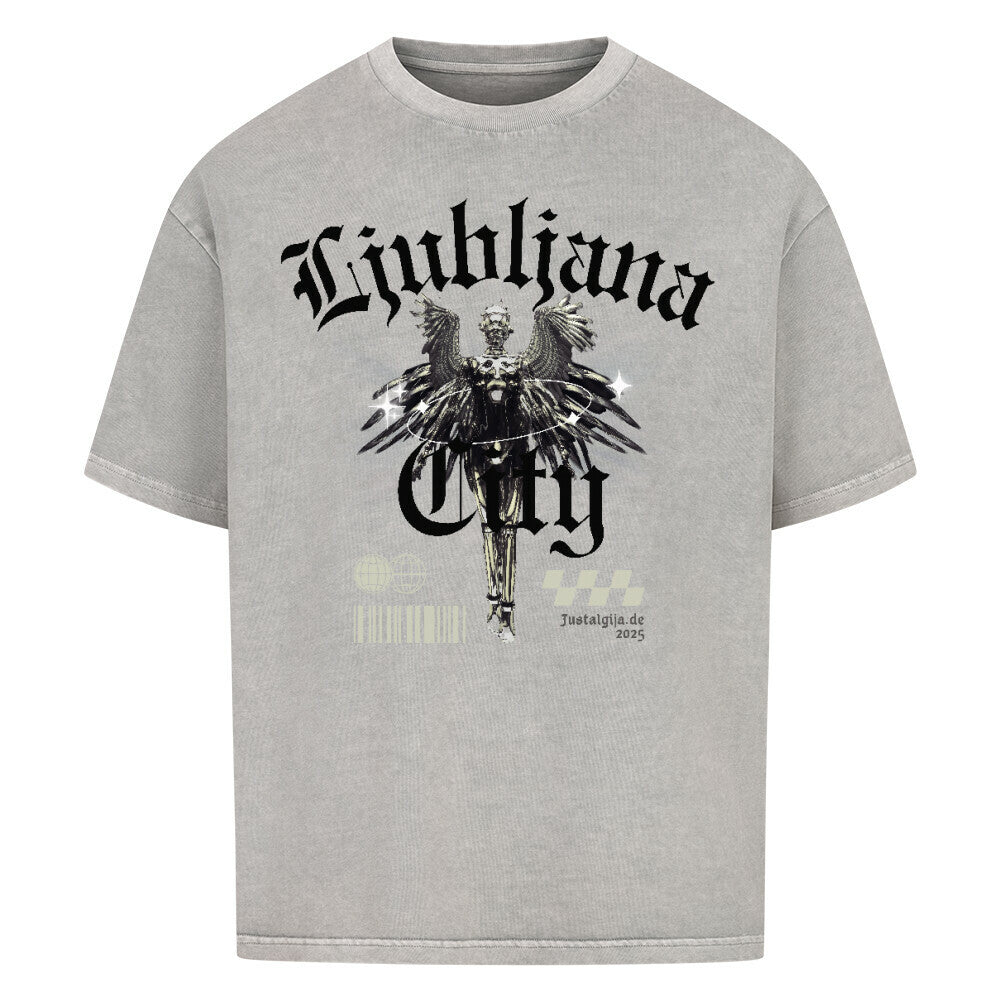 Ljubljana Oversized T-Shirt - Front Print